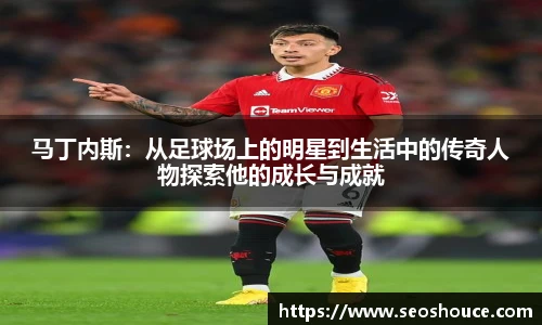 快盈VIII