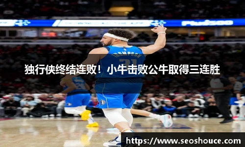 快盈VIII